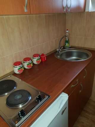 Гостевой дом Guest house Sjekloća Бар Люкс с 1 спальней-4